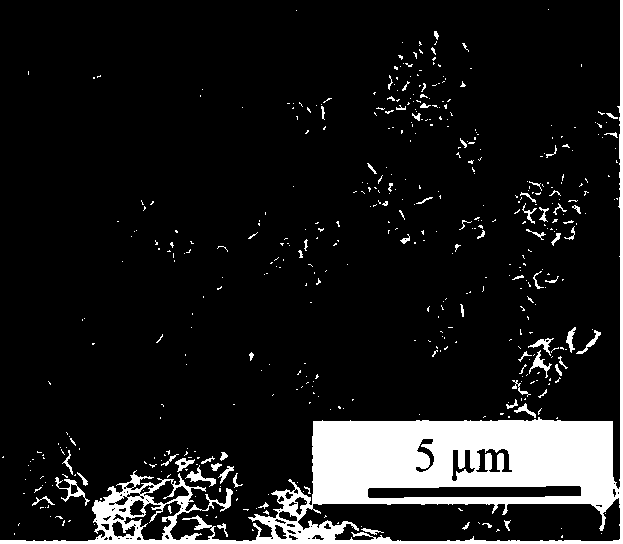 Preparation method of porous glass ceramic with photocatalysis function crystal phase and obtained product