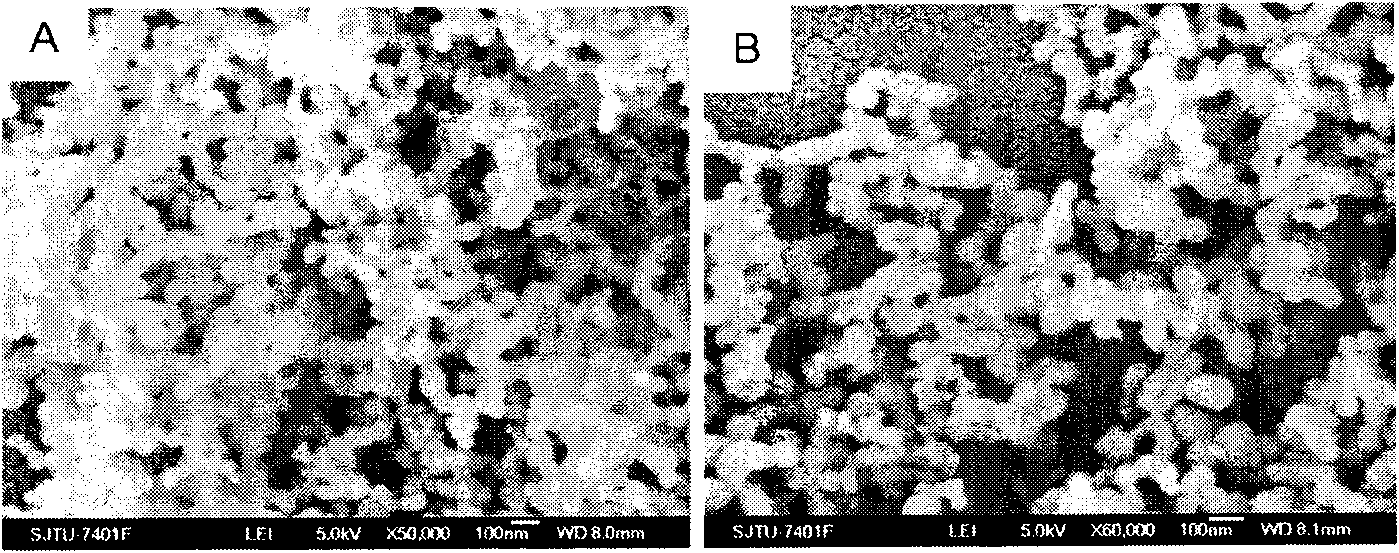 Preparation method of silicon/porous carbon nano-composite particle