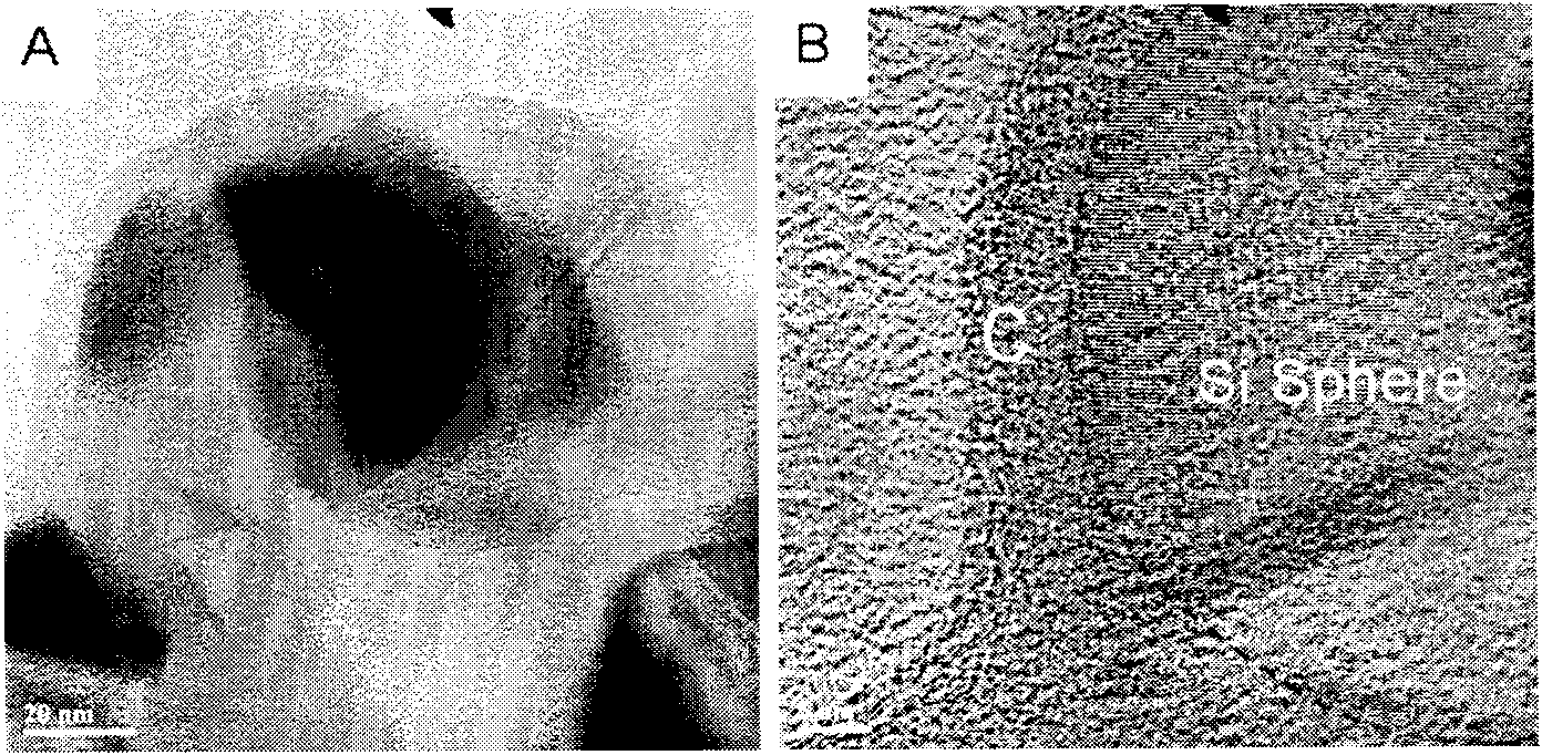 Preparation method of silicon/porous carbon nano-composite particle