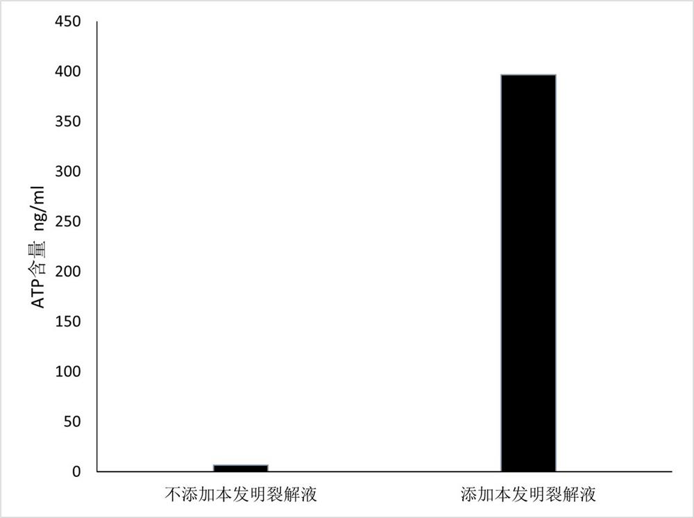 Cell lysate and application thereof for ATP detection