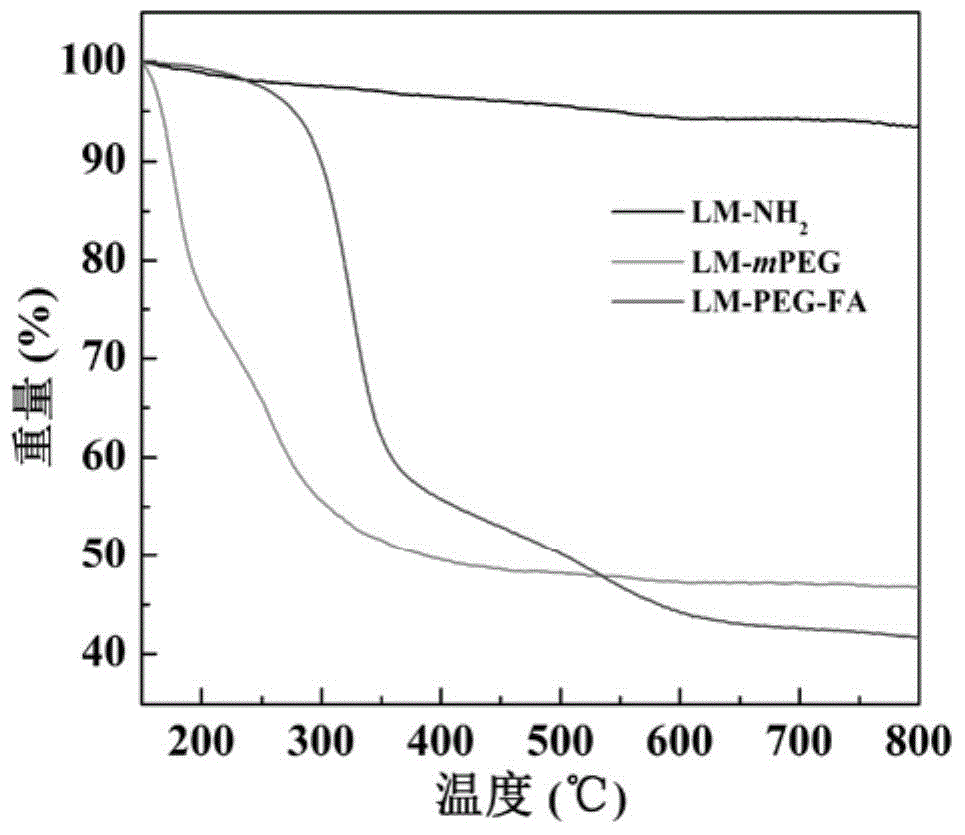 Lithium amide soapstone nano particles modified by polyethylene glycol-folic acid as well as preparation and application of lithium amide soapstone nano particles