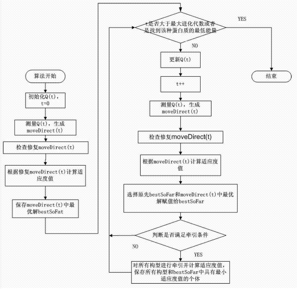 Protein high polymer (HP) model calculation method based on variable angular distance quantum evolutionary algorithm (QEA) algorithm