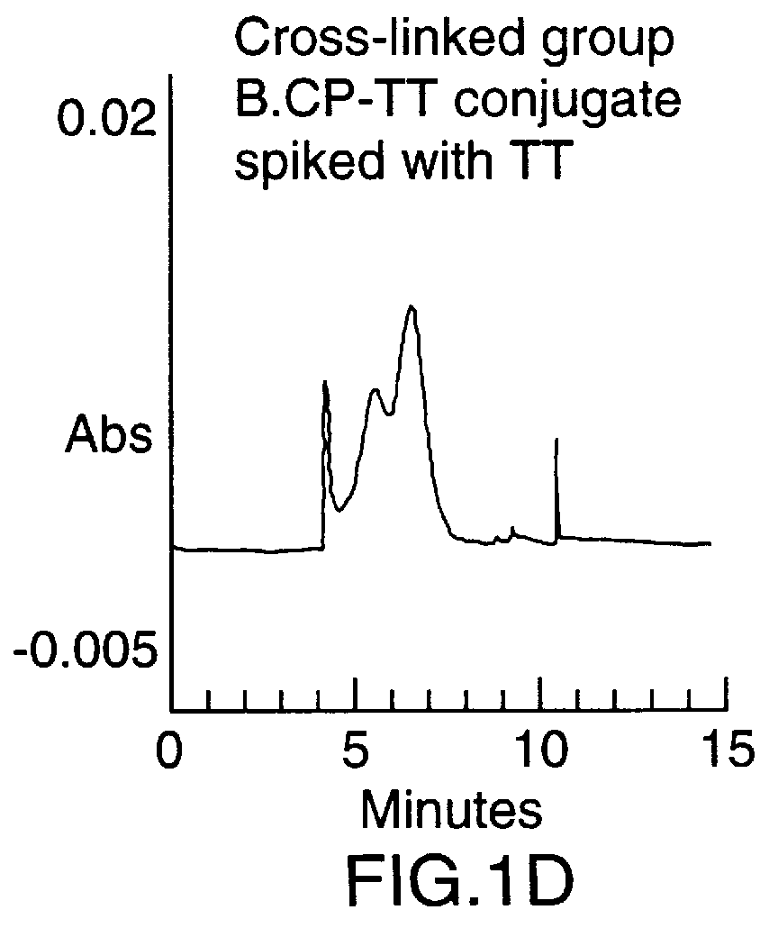 Neisseria meningitidis capsular polysacchride conjugates