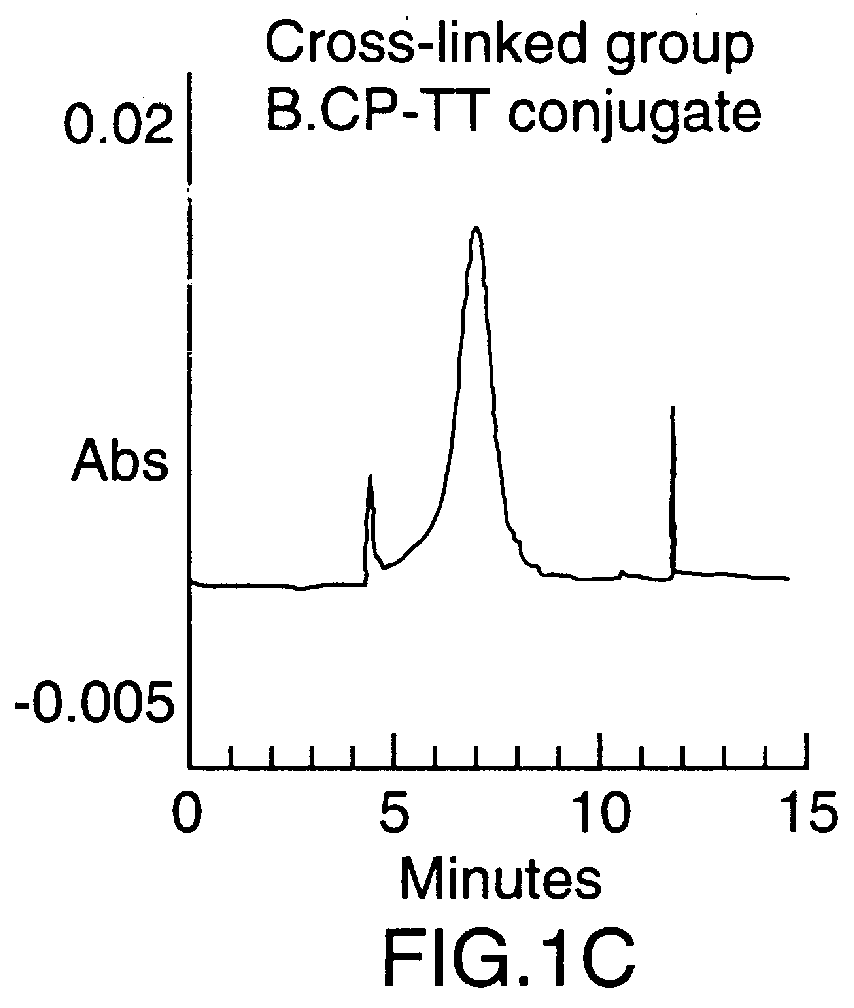 Neisseria meningitidis capsular polysacchride conjugates