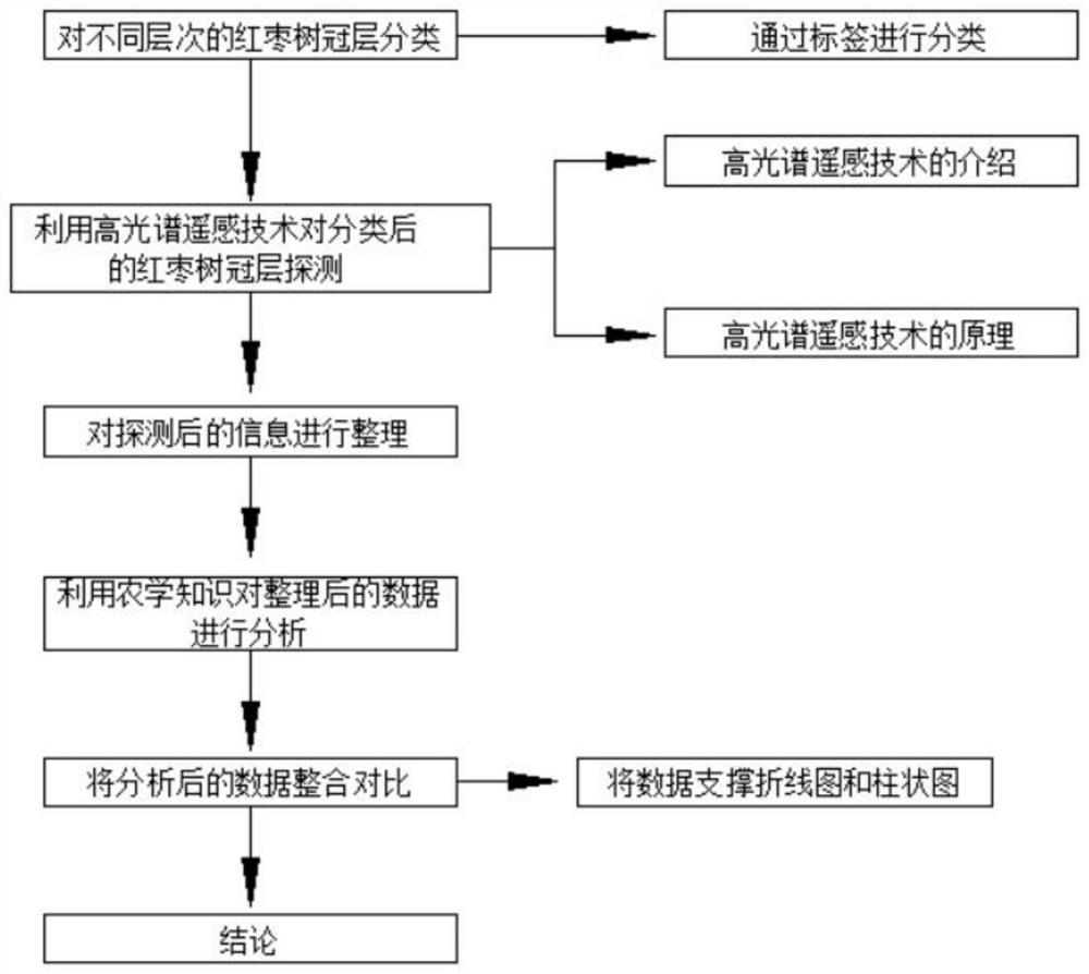 Red date tree canopy leaf nitrogen vertical distribution detection method based on remote sensing information and agronomic knowledge