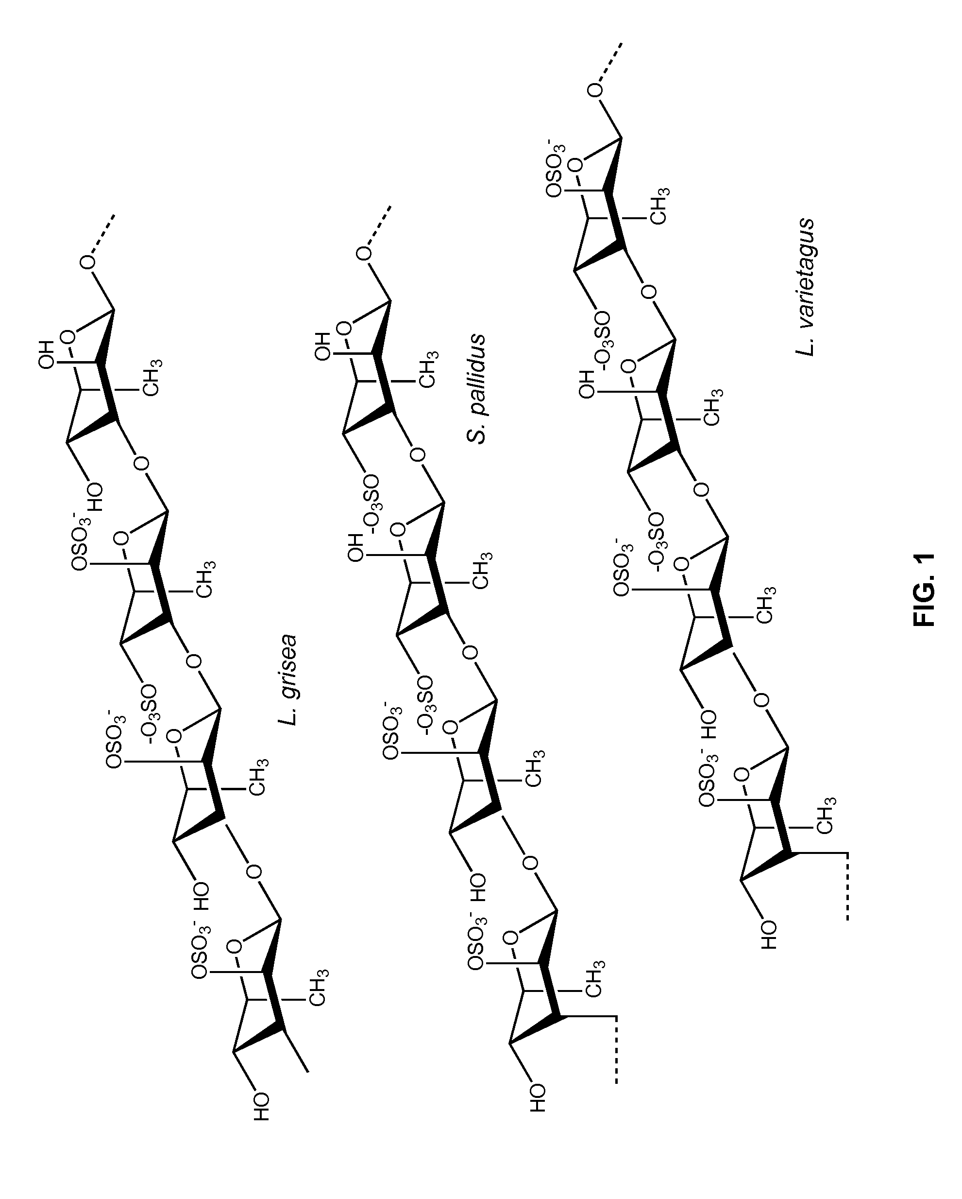 Therapeutic Sulfated Polysaccharides, Compositions Thereof, and Methods for Treating Patients