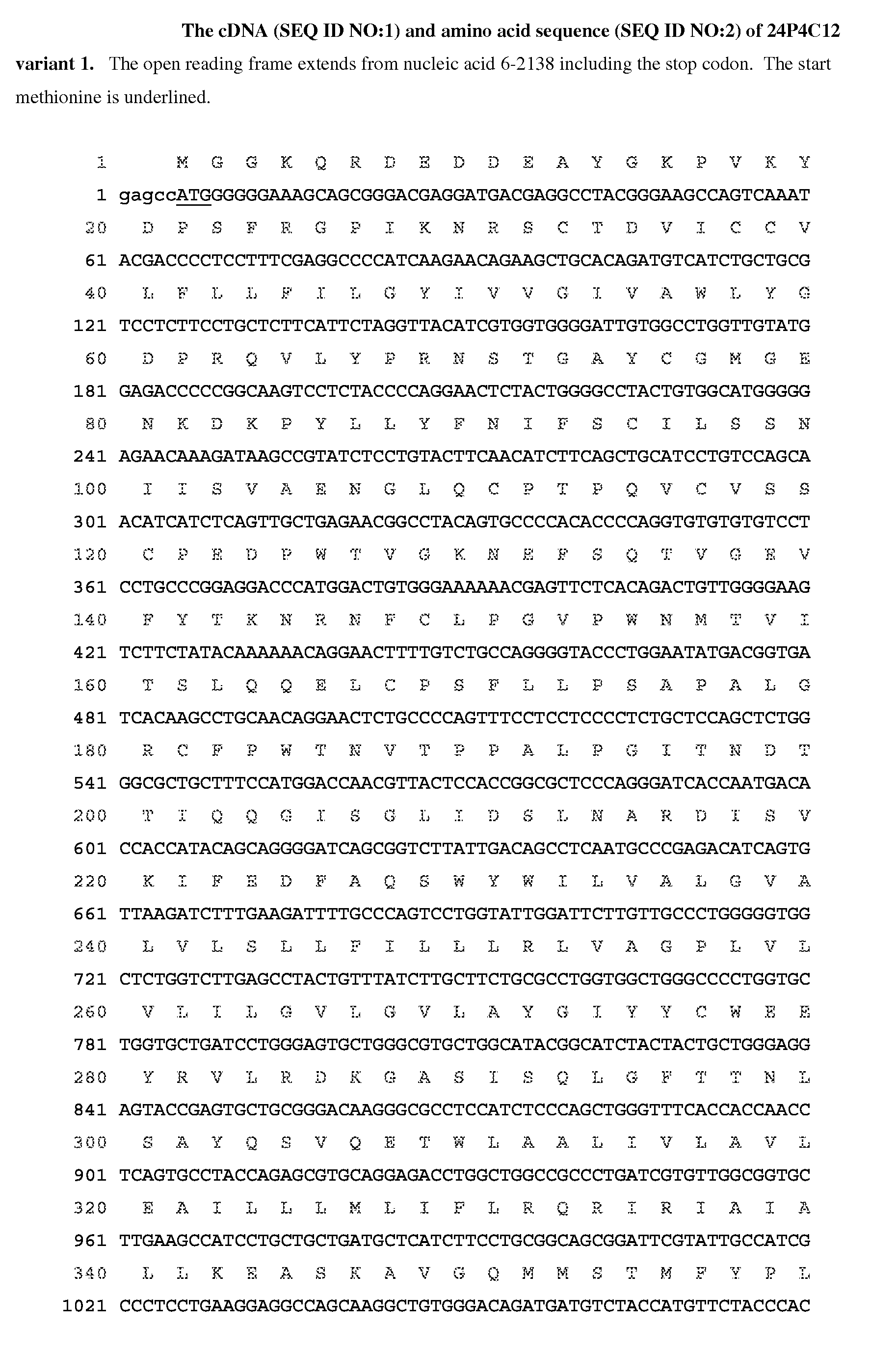 Antibody drug conjugates (ADC) that bind to 24P4C12 proteins