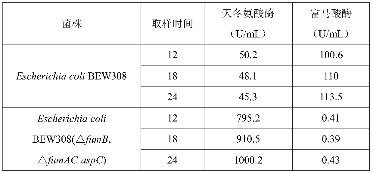 A l-aspartase recombinant Escherichia coli without malic acid by-product and its construction method and application