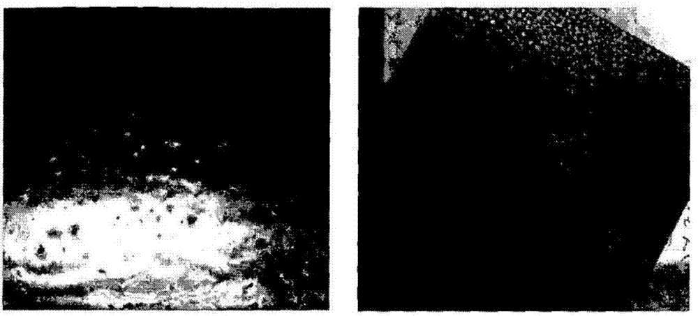 Radiation paint composition and radiation structure