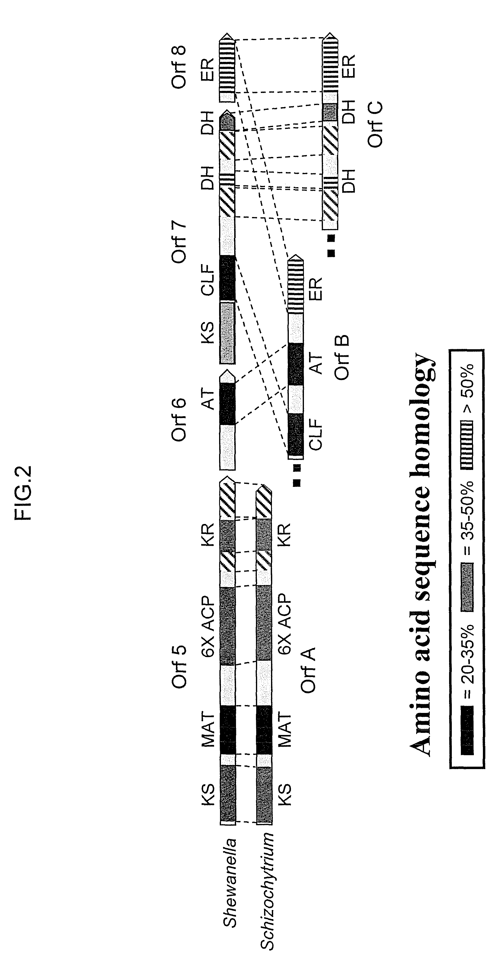 PUFA polyketide synthase systems and uses thereof