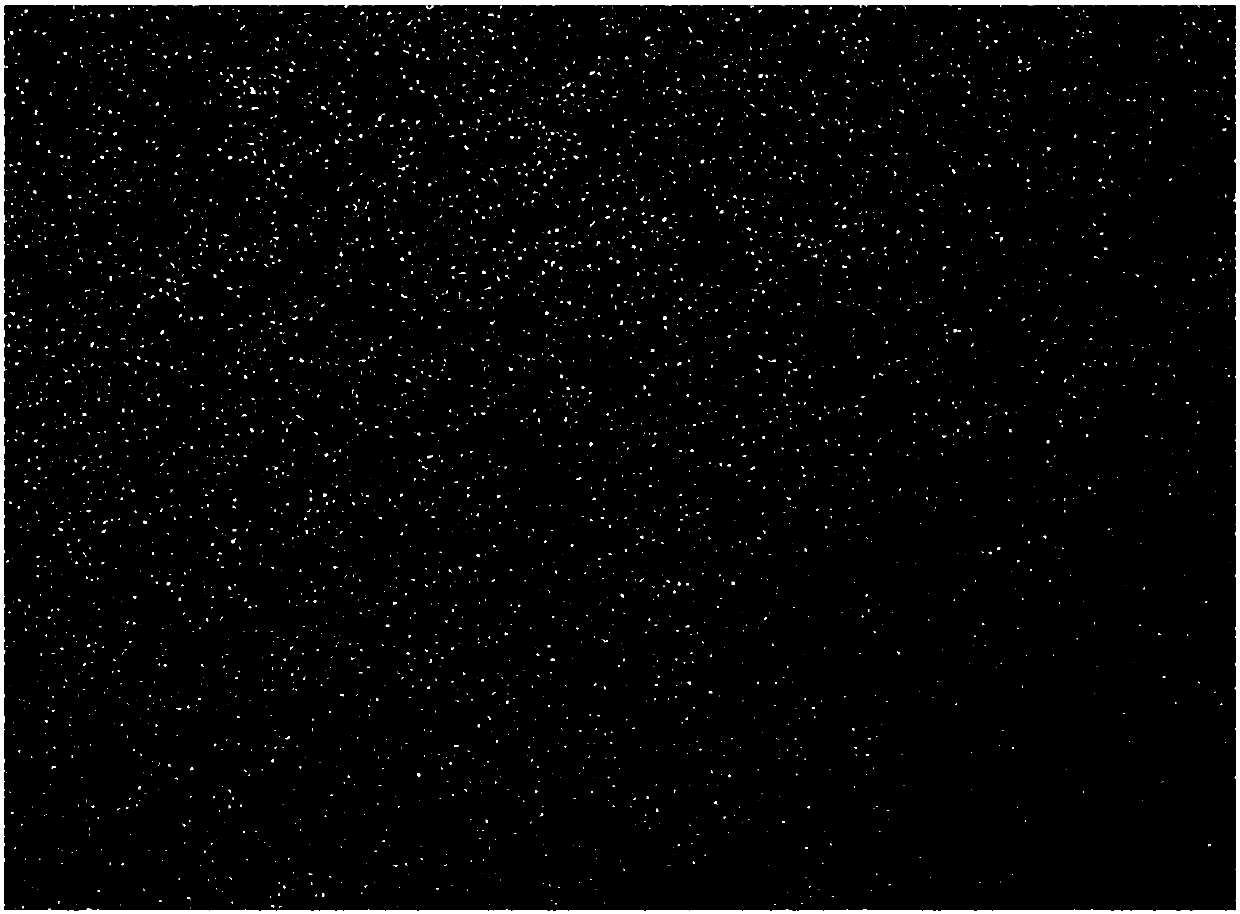 Gold nanoclusters as well as preparation method and application thereof