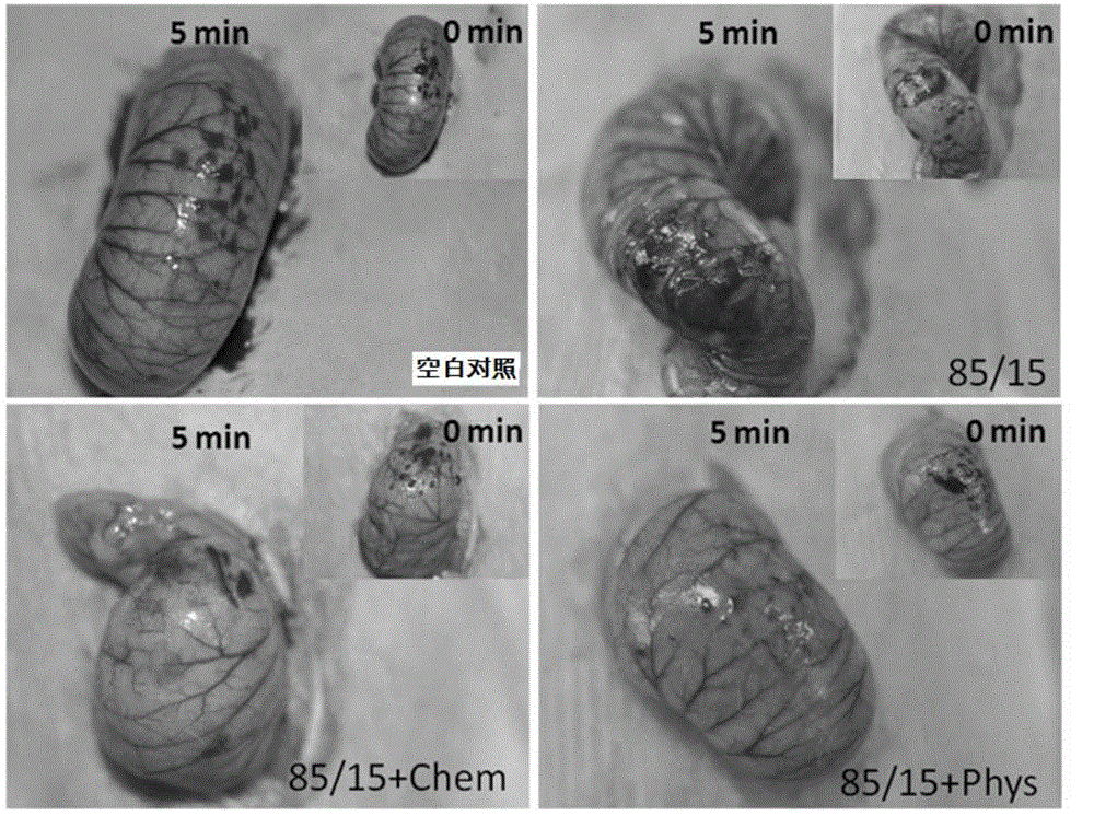 Self-adhesion hemostasis anti-adhesion corpus fibrosum