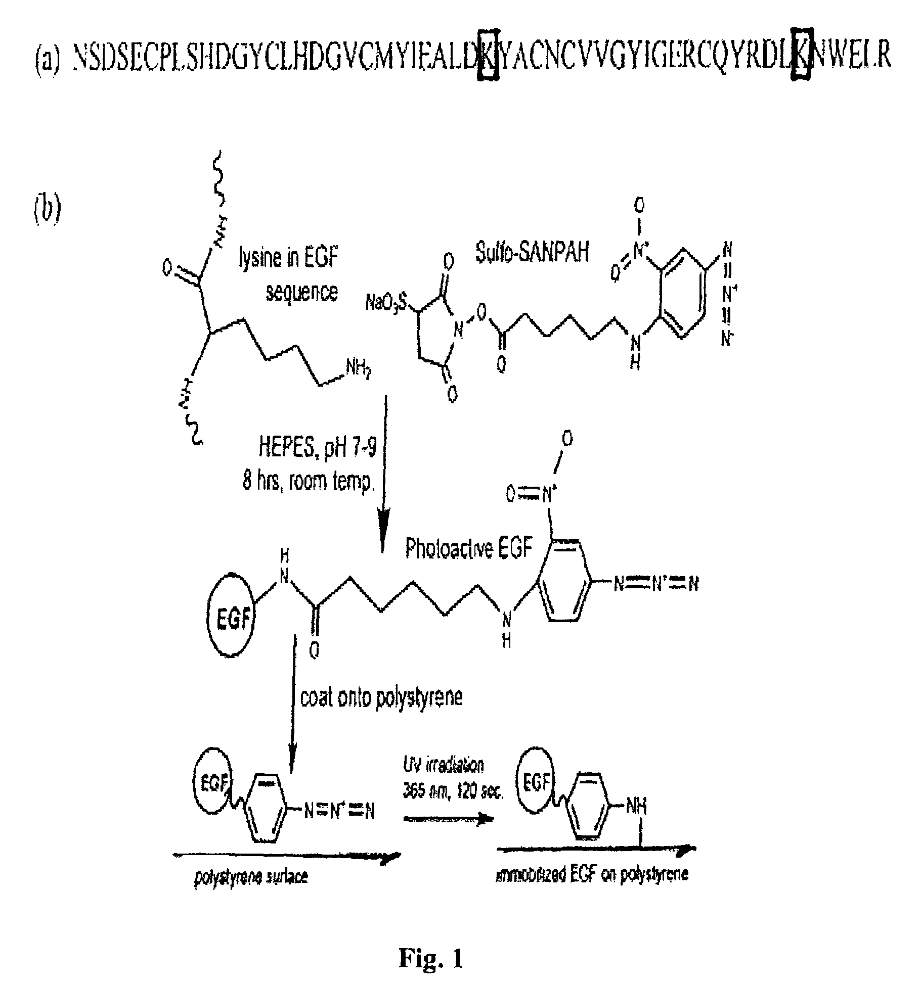 Patterned gradient wound dressing and methods of using same to promote wound healing