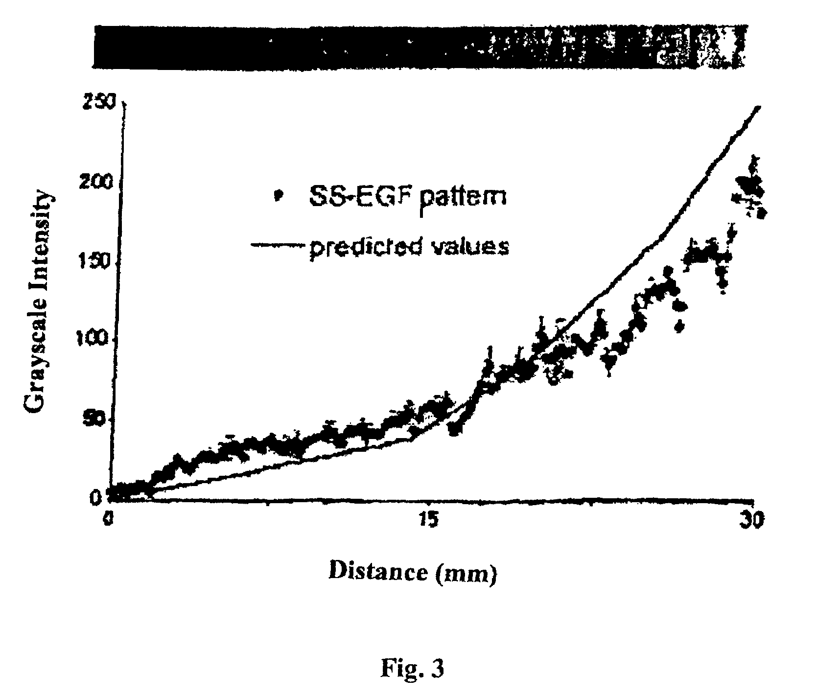 Patterned gradient wound dressing and methods of using same to promote wound healing