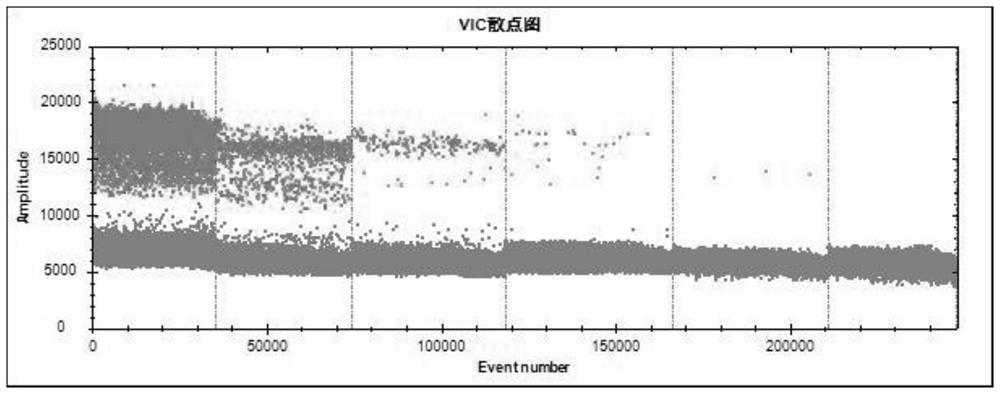 Method for detecting bird flu and avian infectious bronchitis viruses in livestock farm