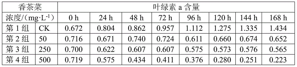 Application of rabdosia amethystoides as water-blooming cyanobacteria growth inhibitor