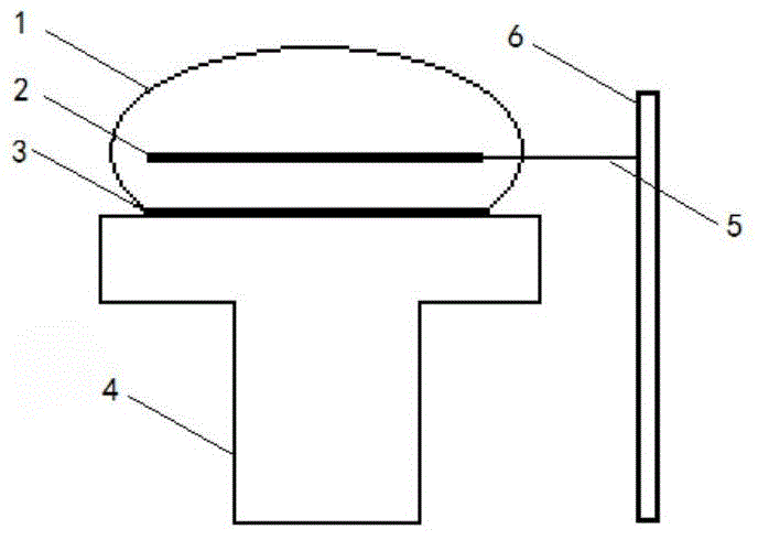 Preparation apparatus for diamond film and method for preparing diamond film by using apparatus