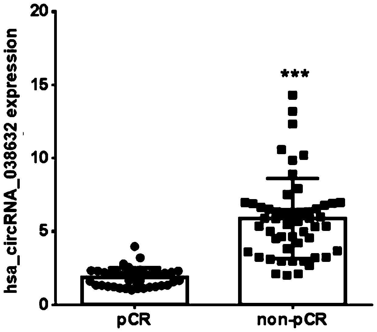 CircRNA detection kit for predicting neoadjuvant chemotherapy reactivity of triple-negative breast cancer (TNBC)