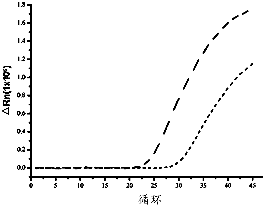 Kit used for detecting nasopharyngeal carcinoma and application thereof