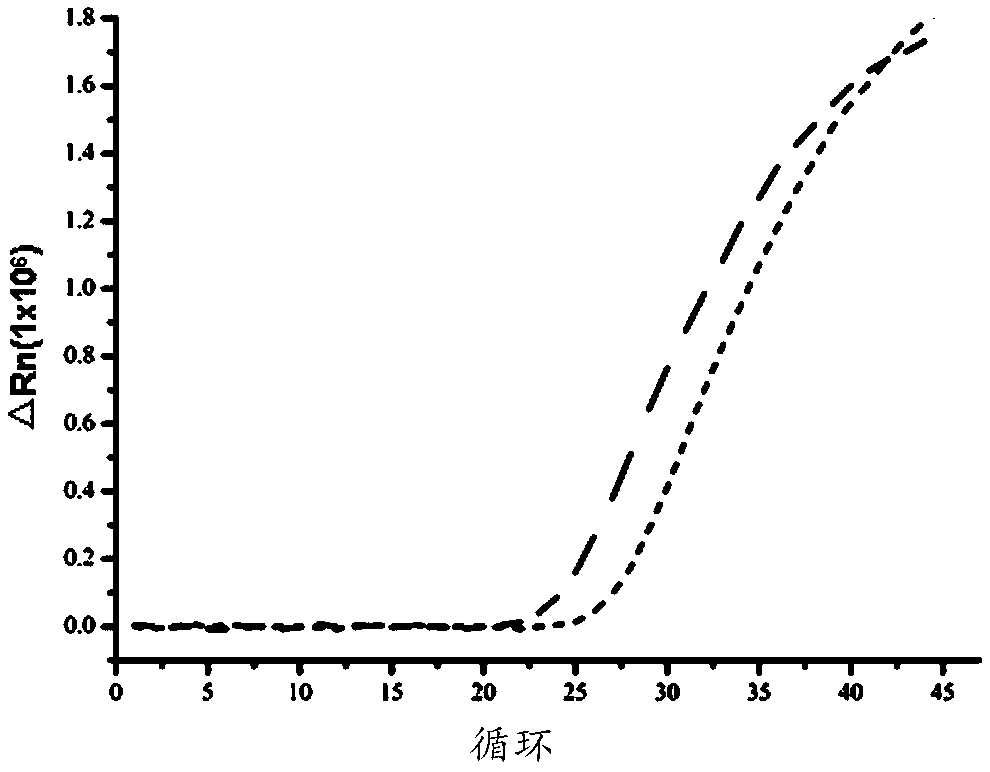 Kit used for detecting nasopharyngeal carcinoma and application thereof