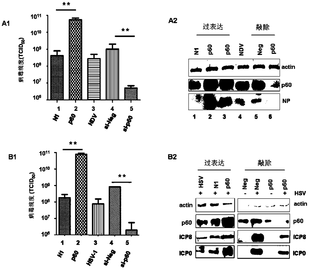 A method for optimizing the preparation of inactivated vaccines and/or live attenuated vaccines