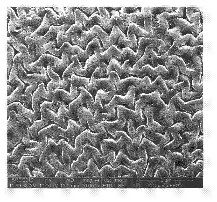 Preparation and application of glucan gel surface Sudan red molecularly-imprinted adsorption material