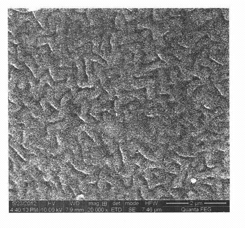 Preparation and application of glucan gel surface Sudan red molecularly-imprinted adsorption material