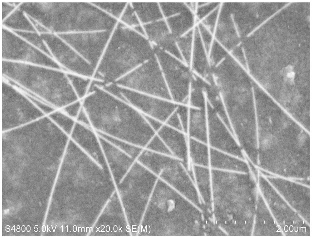 Etching method of silver nanowire, transparent conductive electrode and preparation method thereof