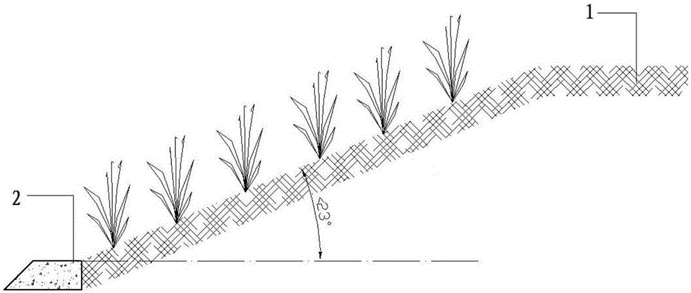 Ecological bag ecological slope protection system and construction method thereof