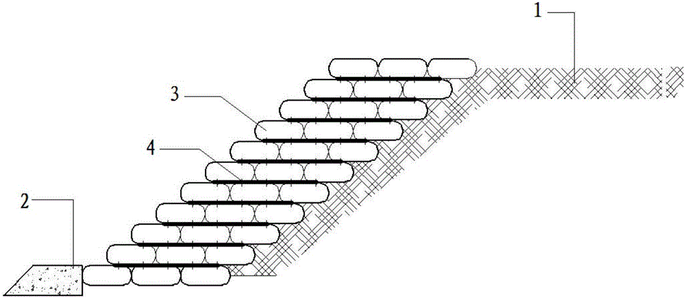 Ecological bag ecological slope protection system and construction method thereof