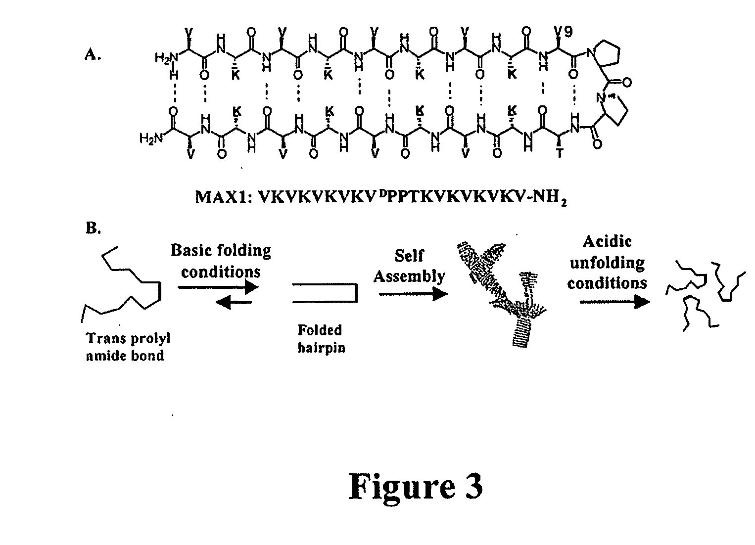 Novel hydorgels and uses thereof