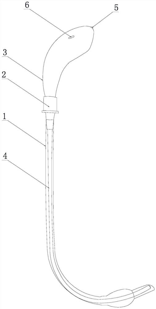 Trachea cannula guide wire