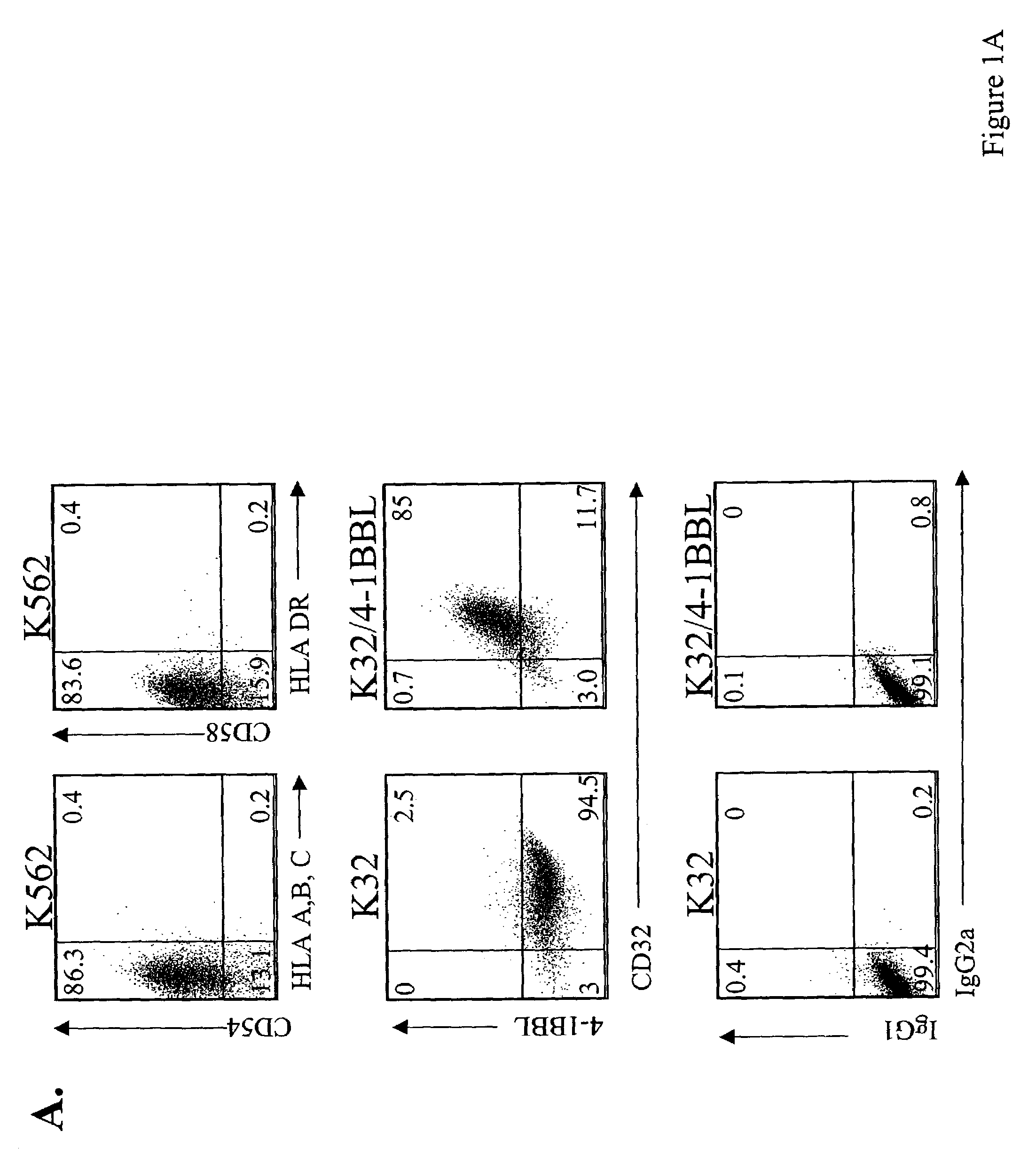 Activation and expansion of T-cells using an engineered multivalent signaling platform