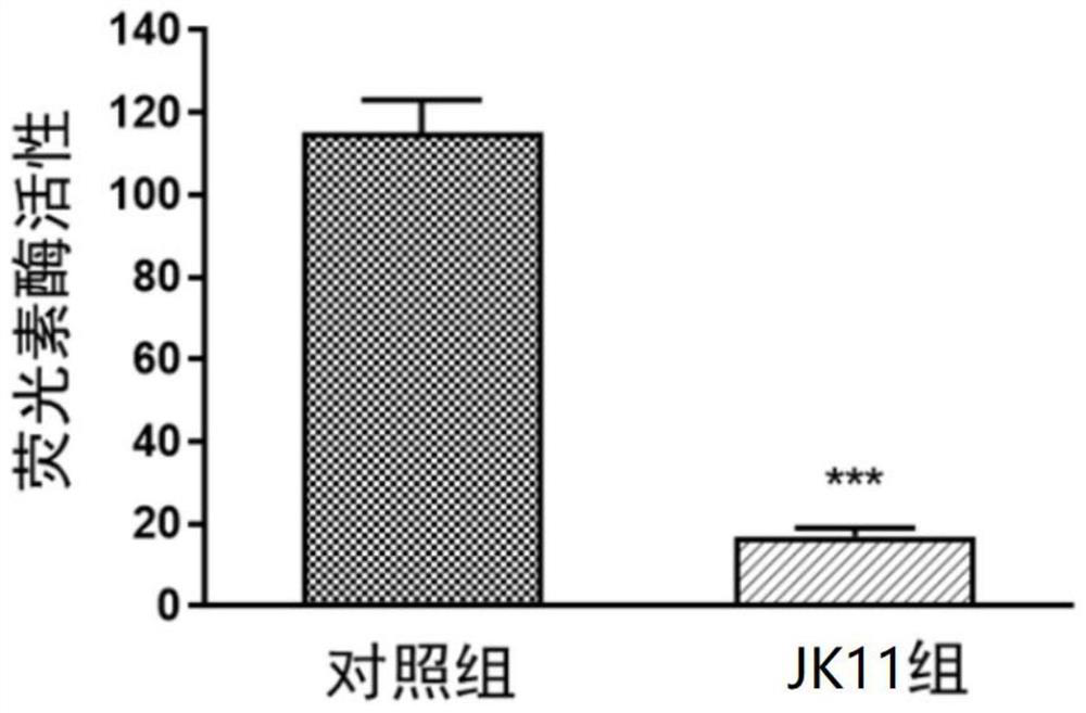 A compound with double inhibitory effects of egfr and wnt, preparation method and application thereof