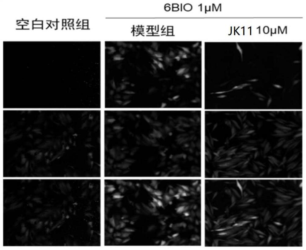 A compound with double inhibitory effects of egfr and wnt, preparation method and application thereof