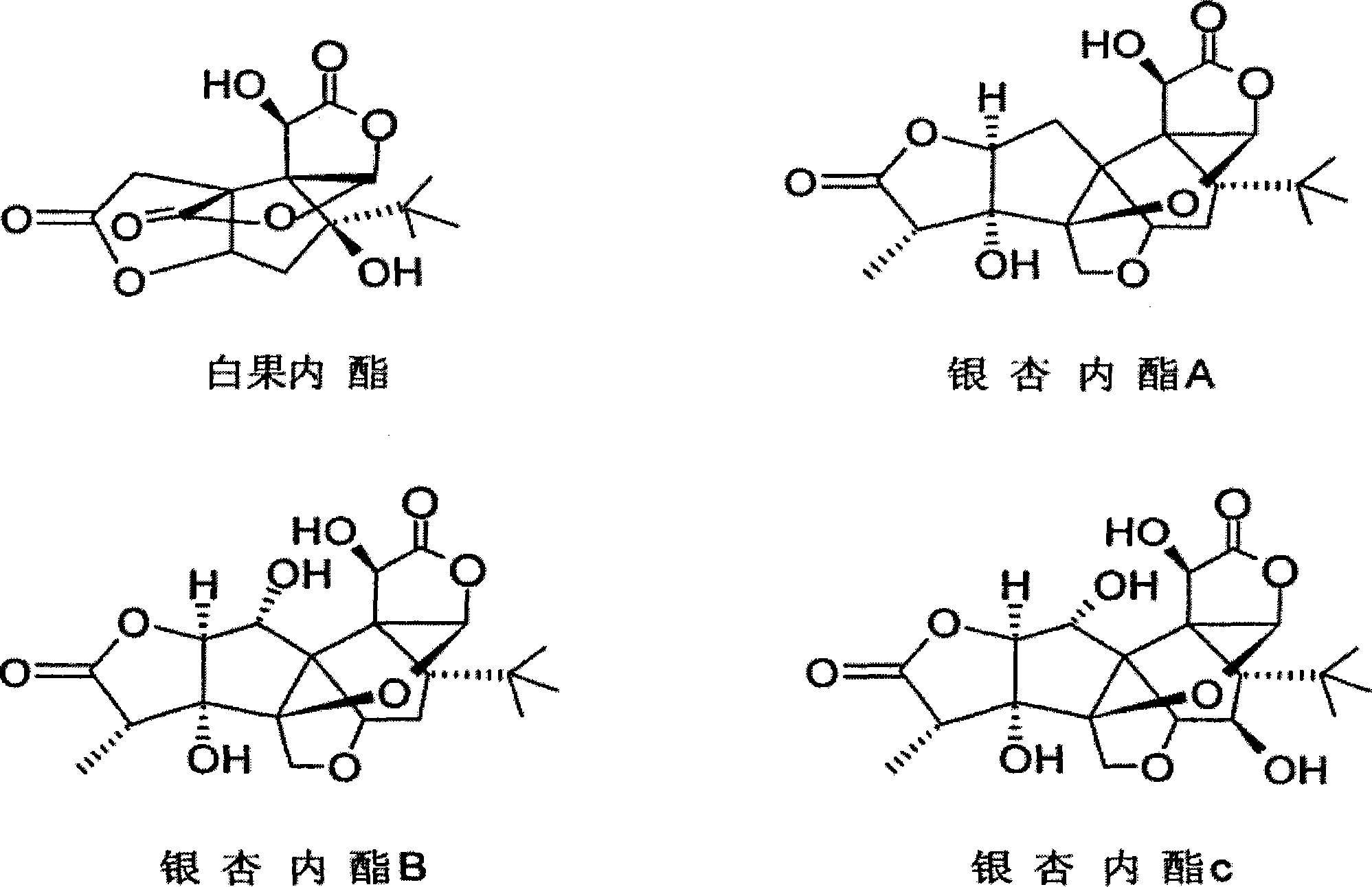 Ginkgolide sublingual tablet and preparation method thereof