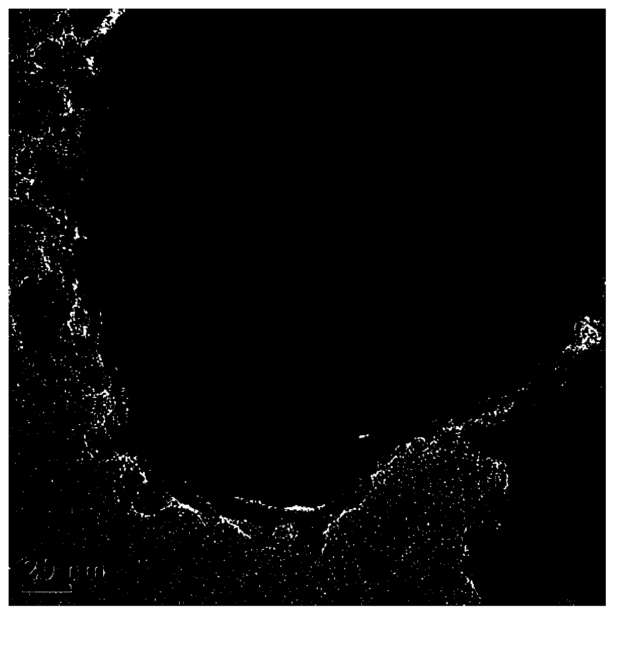 Cerium oxide composite particles, as well as preparation method and application thereof