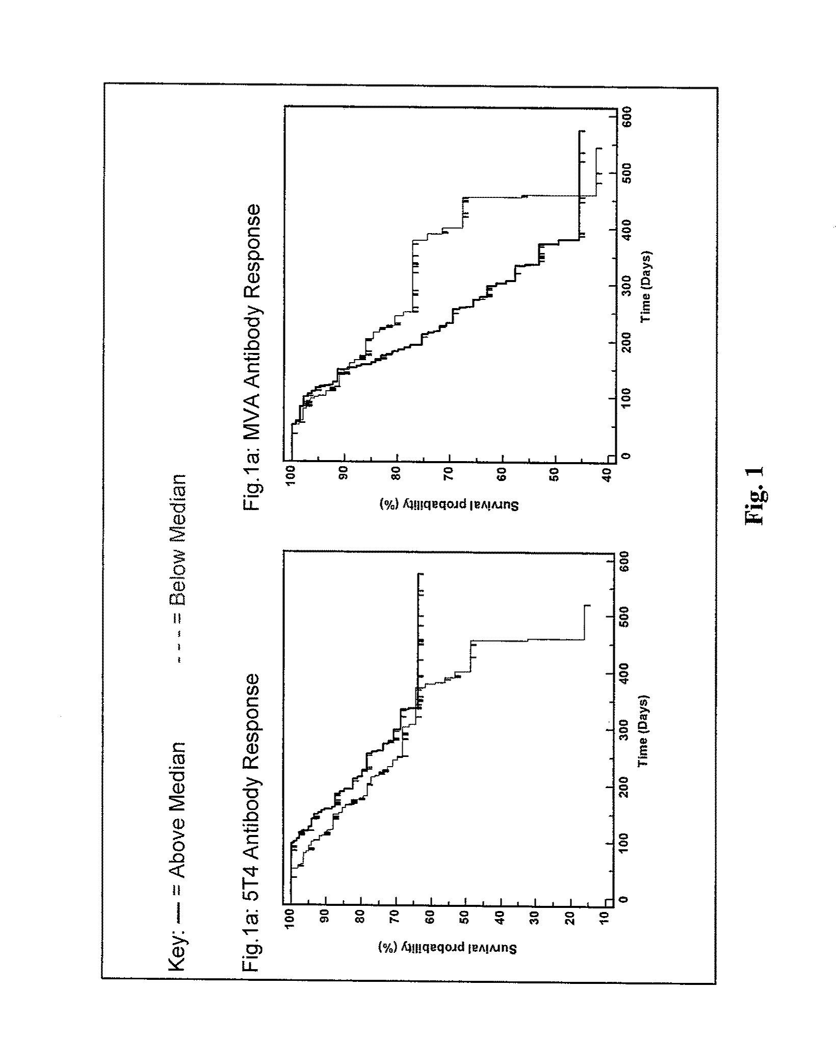 Immunotherapeutic method