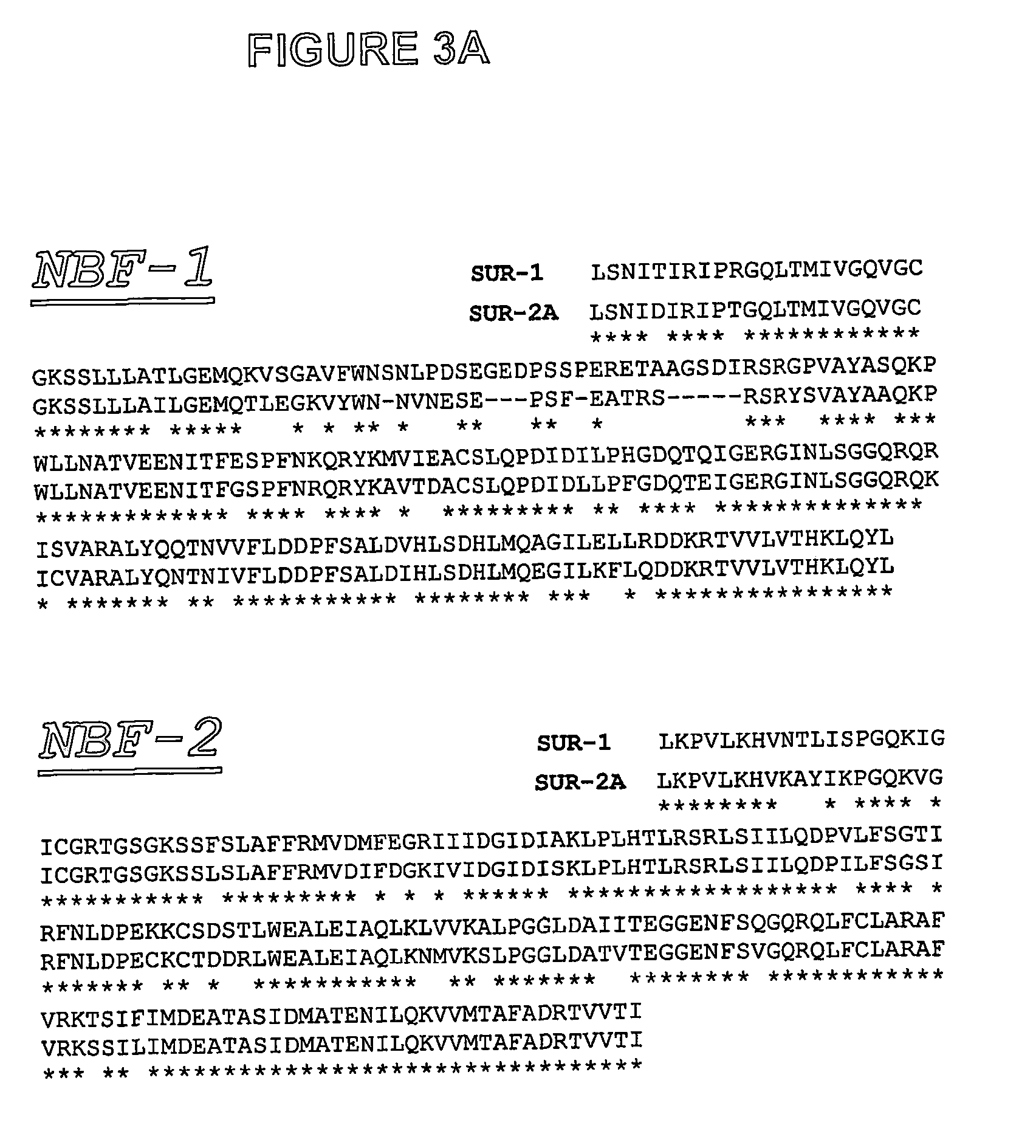 Drug target within the sulfonylurea receptor