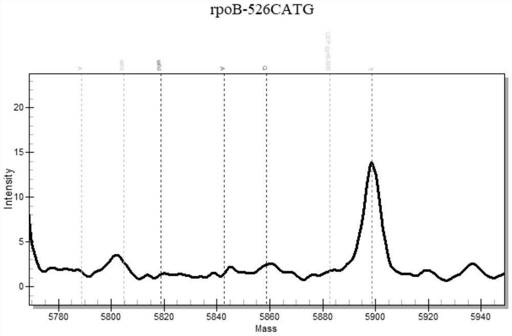 Mycobacterium tuberculosis drug resistance gene locus, primer group and detection method based on MassARRAY nucleic acid mass spectrum platform