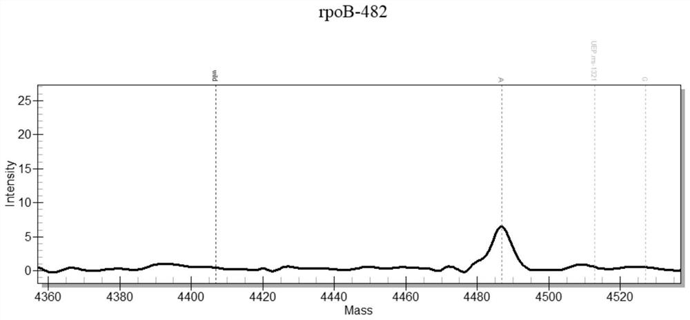 Mycobacterium tuberculosis drug resistance gene locus, primer group and detection method based on MassARRAY nucleic acid mass spectrum platform