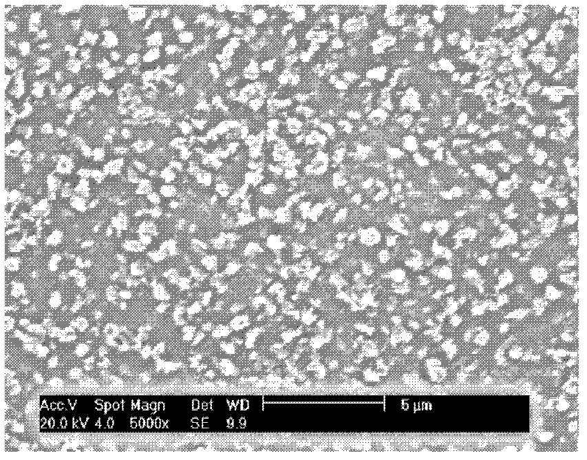 Polyaniline (PAn) modified ordered mesoporous carbon (EOMC) immobilized laccase biosensor and preparation method