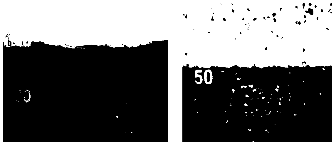 Continuous ultralight regularly oriented pure graphene airgel film and its preparation method