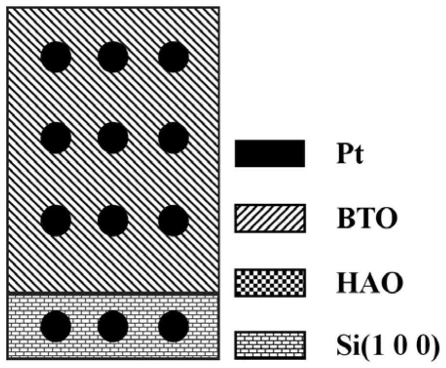 A kind of silicon integrated BTO thin film and preparation method thereof