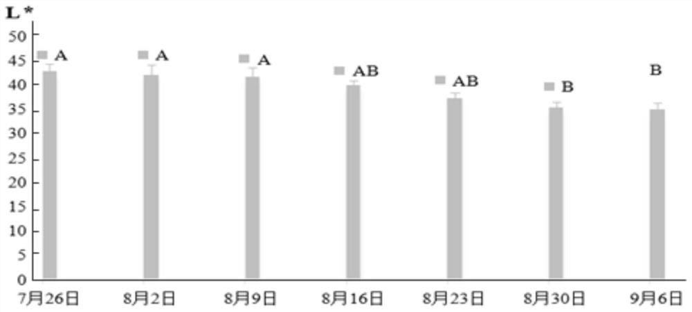 Large-scale breeding method for tilia amurensis