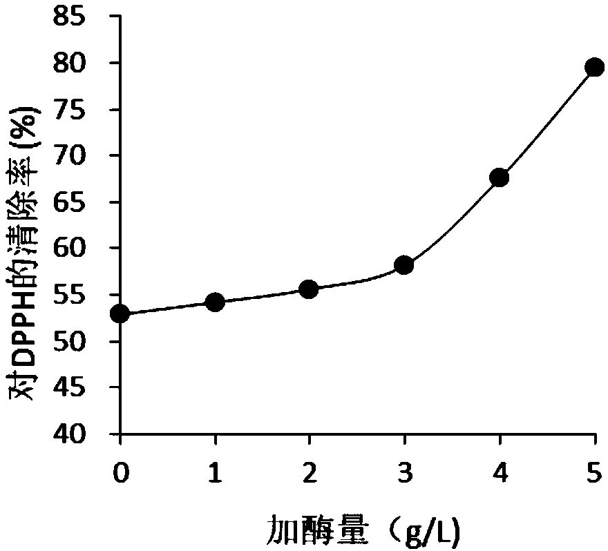 Response surface method optimized method for extracting antioxidant ingredients from podocarpus leaves