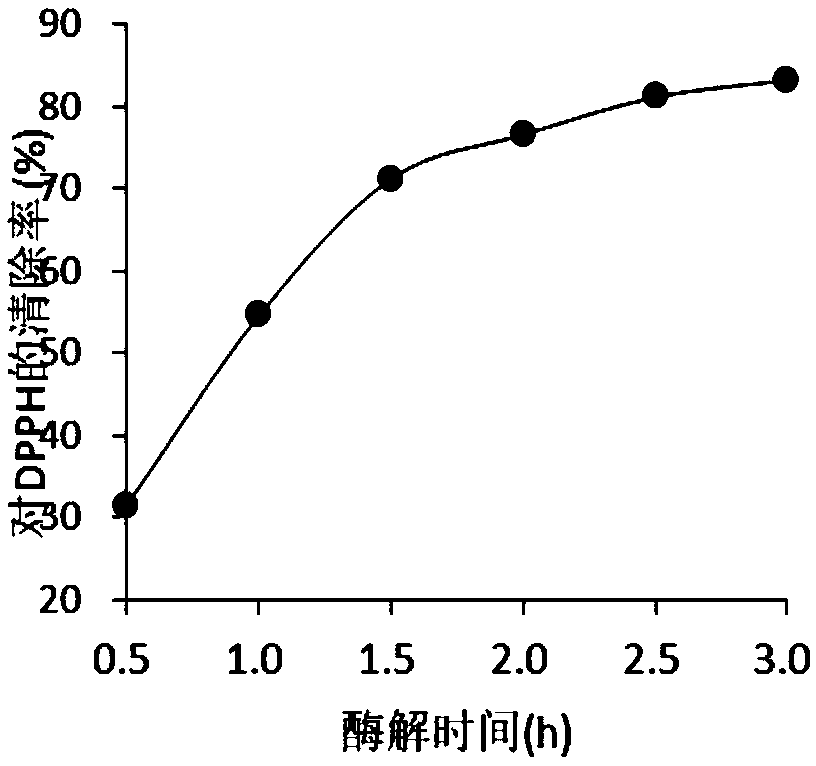 Response surface method optimized method for extracting antioxidant ingredients from podocarpus leaves