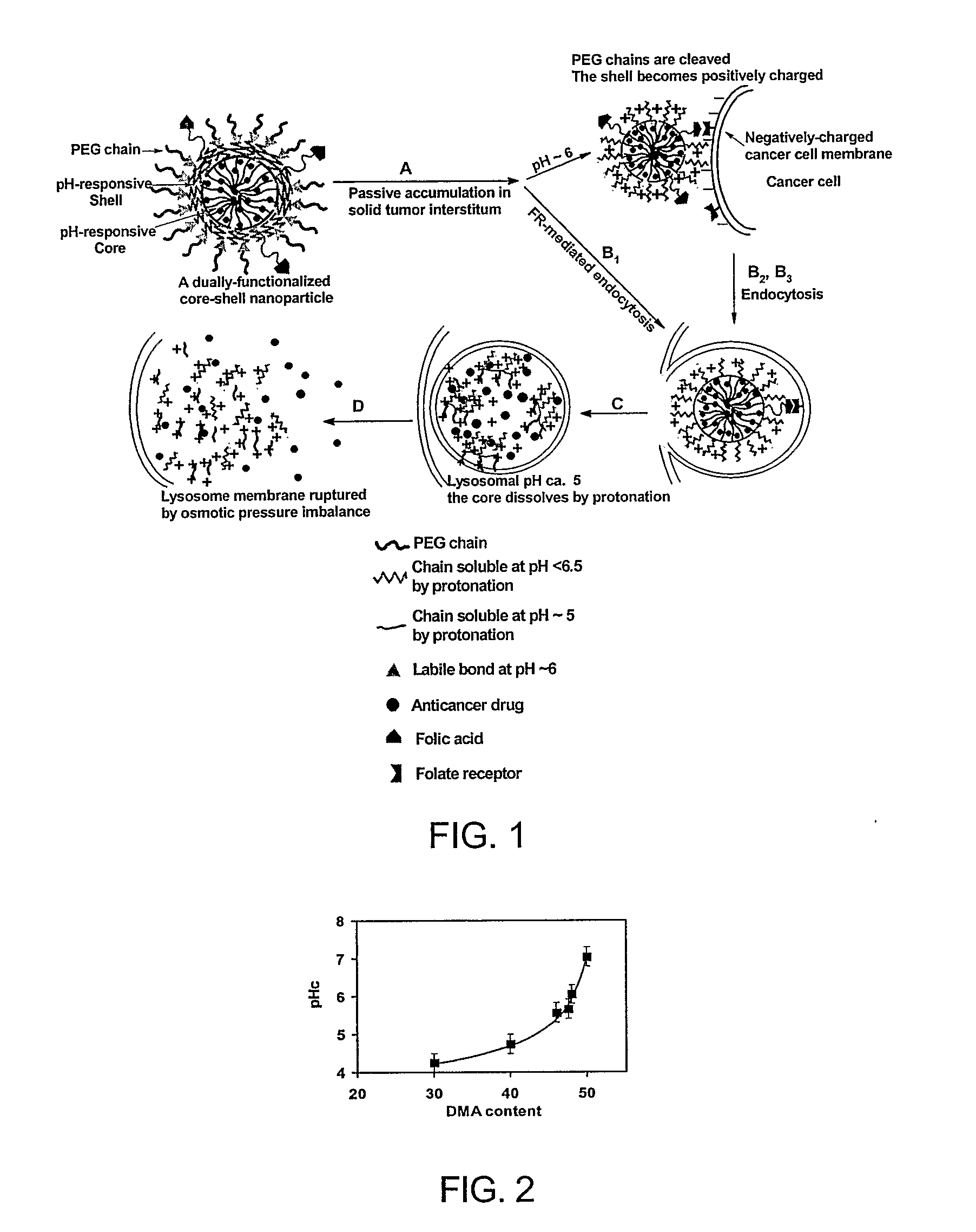 Nanoparticles for Cytoplasmic Drug Delivery to Cancer Cells