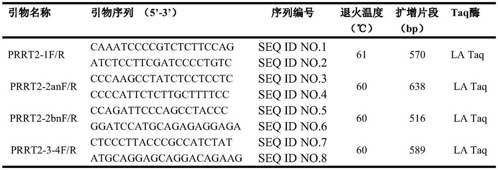 Gene mutation targets related to paroxysmal movement-induced dyskinesia and its application