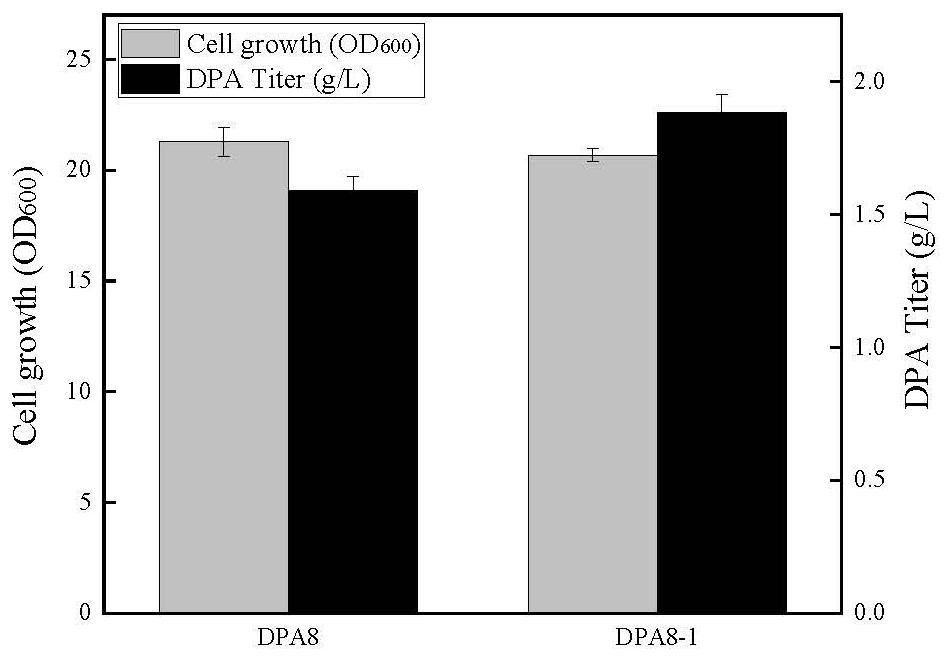 Plasmid-free and inducer-free genetically engineered bacterium for producing D-pantothenic acid and construction method